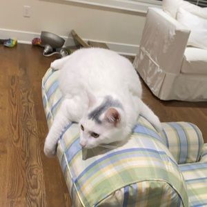 Meet your Posher, Martha